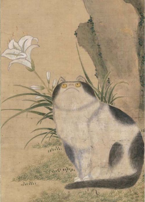 podcastwizard:nobrashfestivity:  Unknown, Cat, 19th century 