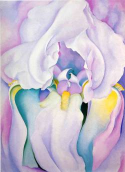 jeromeof:  Light of Iris - Georgia O'Keeffe