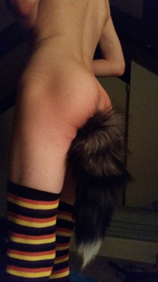 alyxnsfw:  floof tail at like 3am~   My partner has that same