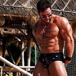 Adonis Files