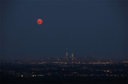 discoverynews:  When The Supermoon Wowed The WorldThis month’s