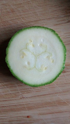 I never noticed the perfect symmetry of a zucchini from within