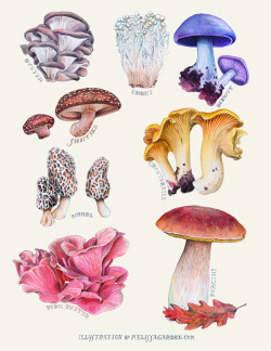 themoonphase:  sapta-loka:  ILLUSTRATED BY MELISSA GARDEN  The