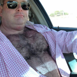 bears and hairy daddies