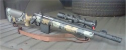 grimes821991:  Custom Remington 700. I really enjoy this.