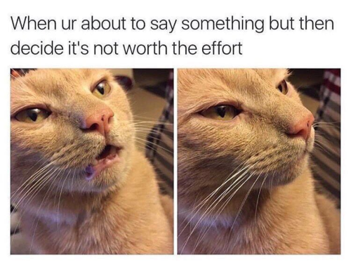 Lol Funny Memes