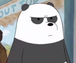 awkwardwebarebearsphotos:  angry panda