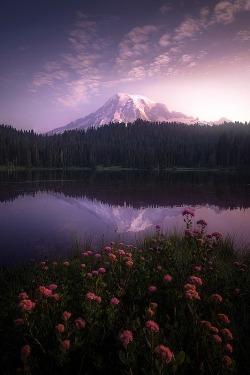 ponderation:  Essence Of Dawn by Sapna ReddyPhotograoher’s