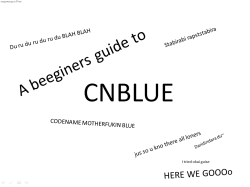      a beeginers guide to cnblue i wrkd hard on dis plz learn