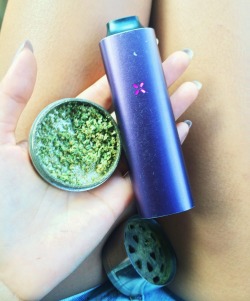 thehighermind:  Vaped like 5 bowls on the way to see Pepper and