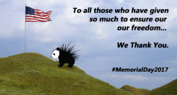 gishwhes:In remembrance of our fallen servicepeople… We thank