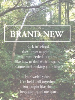 bra-ndnew:  seventy times 7 // brand new 