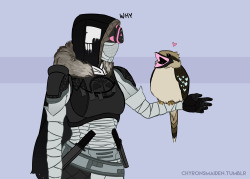 chyronsmaiden:  I’ve seen a lot of people headcanon their Hunters