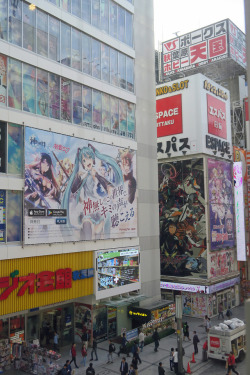 ninetail-fox:Akihabara