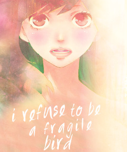 winterlonging:  and i will roarlooking for my own happiness 