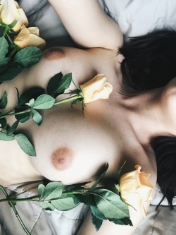 disasterslut:  roses bloom for you