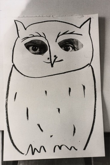 inneroptics:    René Burri - Portrait of Picasso as an owl,