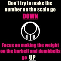 grass-fed-fitness:  Dont worry about the scale weight going down,