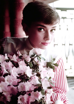 rareaudreyhepburn:  Audrey Hepburn May 4, 1929 - Jan 20, 1993