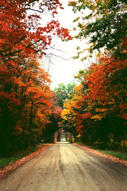 r2–d2: Autumn by (ZacharySnellenberger) | Follow on Tumblr