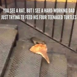 Ha ha haha .. I love it!!! #tmnt  #photosbyphelps  #funny #haha