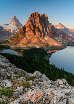 eocene:  Vertical by Rebecca Schortinghuis 