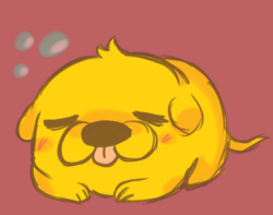 kiwiclementine:  Sleepy pup uvu 
