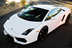 desertmotors:  Lamborghini Gallardo LP560-4 