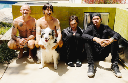fanaticbychoice:    The Red Hot Chili Peppers photographed by