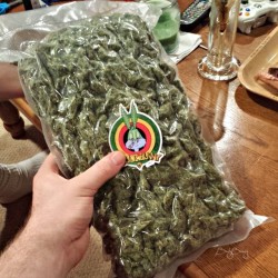 weedporndaily:  Blue Cheese Pillow✌  by budz_bunny http://ift.tt/1t0DD9o