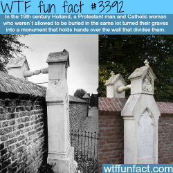 wtf-fun-factss:  The grave of a Protestant and a catholic, holding