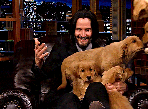 anthonysperkins:  Pup Quiz with Keanu Reeves