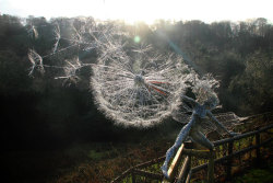 fer1972:  Amazing ‘Fairies with Dandelions’ Wire Sculptures