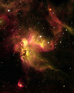 spaceexp:  NGC 2081