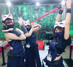 忍者 #kunoichi #ninja #忍者 #秋葉原 #kunoichis #ninjas