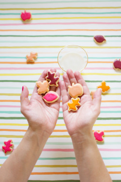 sweetoothgirl:    Mini Colorful Leaf Cookies   