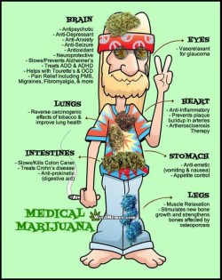 strainmadness:  nothingbutbud:  Medical Marijuana  Marijuana