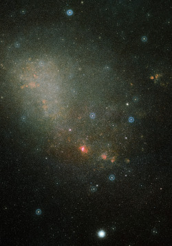 astronomicalwonders:  The Small Magellanic CloudThe Small Magellanic