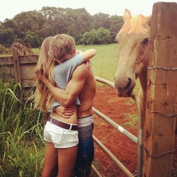 sex-thrill:  my blog will make you horny ;)  The horse is saying