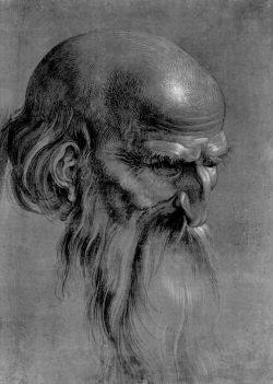 artist-durer:Head of an apostle, 1508, Albrecht Durer