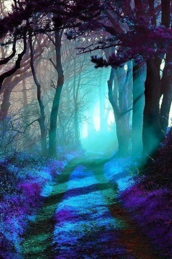 plasmatics-life:  Somewhere in the forest |  by Hova 