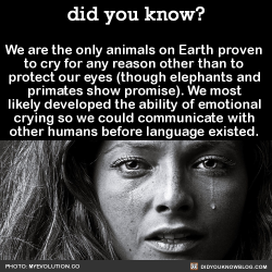 butt-berry:  did-you-kno:  We are the only animals on Earth proven