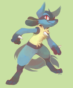 yassui:  lucario speedpaint 