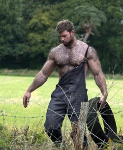 scrumrob: ruckusdog: Sasquatch is Real Hot day, lots of sweat,