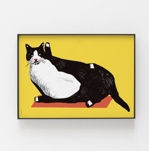 littlealienproducts:    Fat black and white cat on the doormat