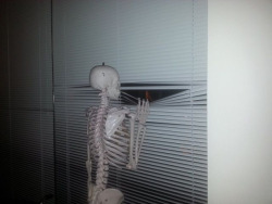 thatfunnyblog:  me waiting for my crush to like me back Funny