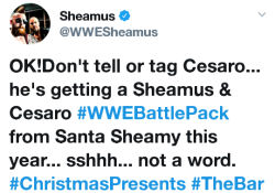 deidrelovessheamus:  Sheamy is the greatest Tag Team partner