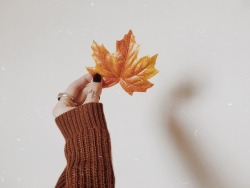 curuni:  Write a secret wish on a fallen leaf.   Fold the leaf