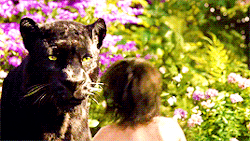 unwins:  The Jungle Book (2016)  Baloo: Forget about your worries