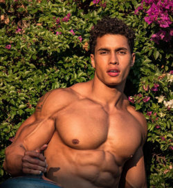 meatmarketblog:@adrianconrad_